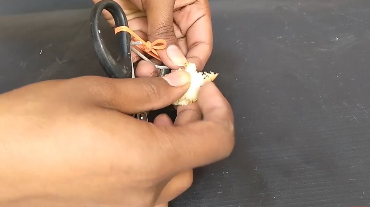 “消灭老鼠”很简单,只需一把剪刀,别无选择的老鼠只能乖乖认命