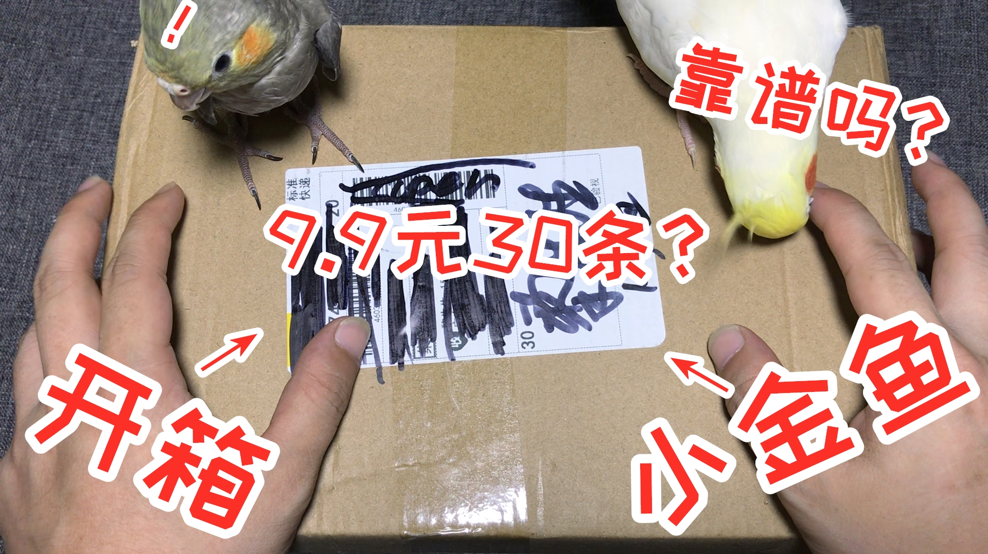 9.9元网购了30条“小金鱼”,包裹看着有点大!到底靠不靠谱呢?