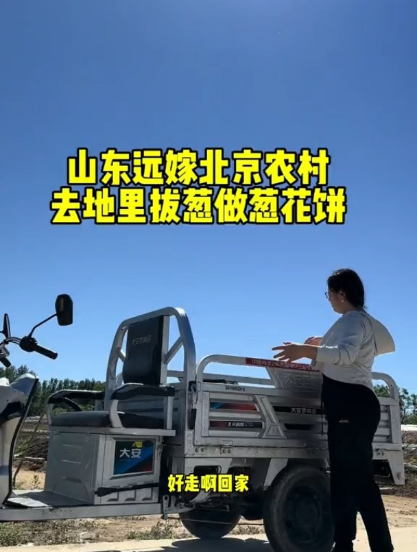 山东远嫁北京农村去地里拔葱拔葱做葱花饼记录真实生