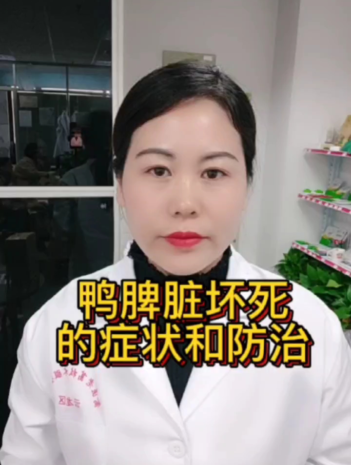 鸭脾坏死的症状和防治