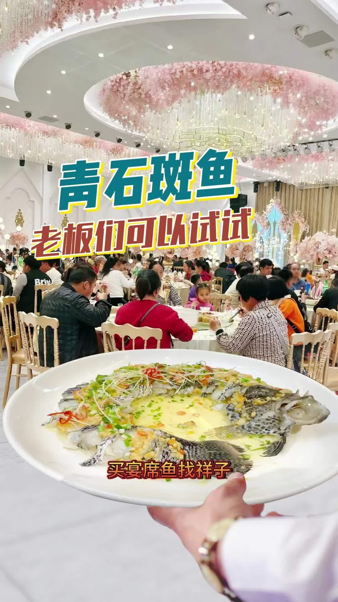 在做餐饮的老板们都能用上我家的青石斑鱼