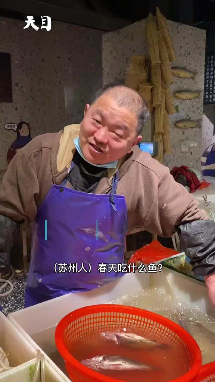 老苏州人心中的春季“第一鲜”菜花塘鳢鱼上市 每斤最高150元依然很抢手