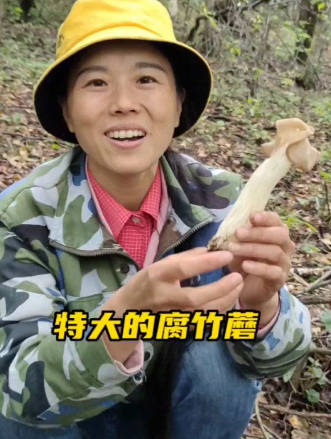 在东北,腐竹蘑比其他蘑菇都要鲜美