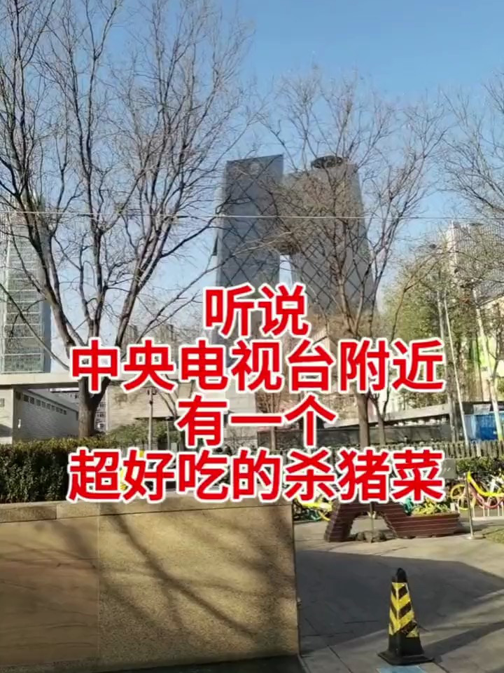 我听说中央电视台的有一个贼好吃的杀猪菜