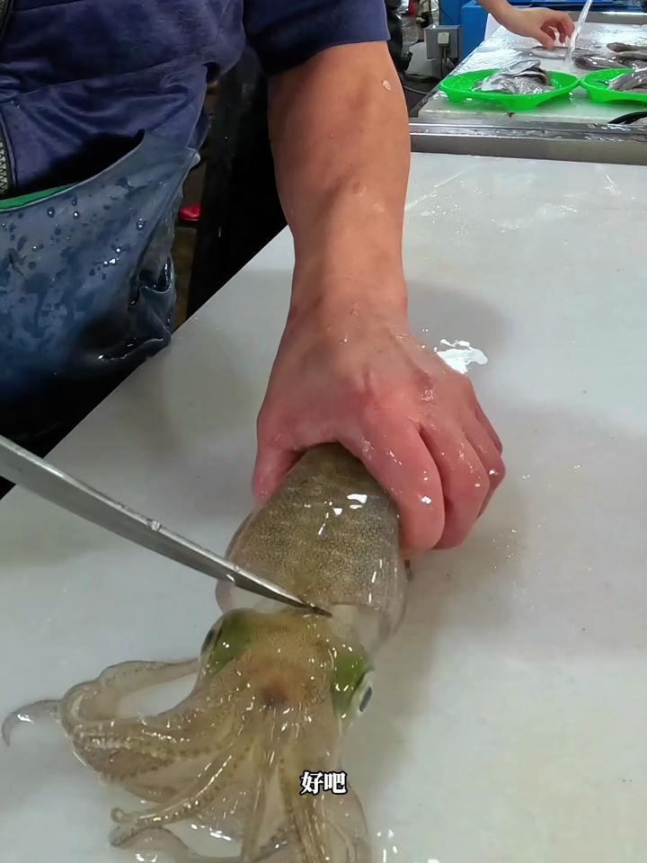 日本人都是如何处理鱿鱼的,一般都采用活鱼现杀的方式,不可思议