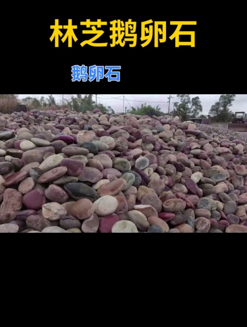 林芝鹅卵石 鹅卵石滤料多少钱一吨 8-16毫米鹅卵石