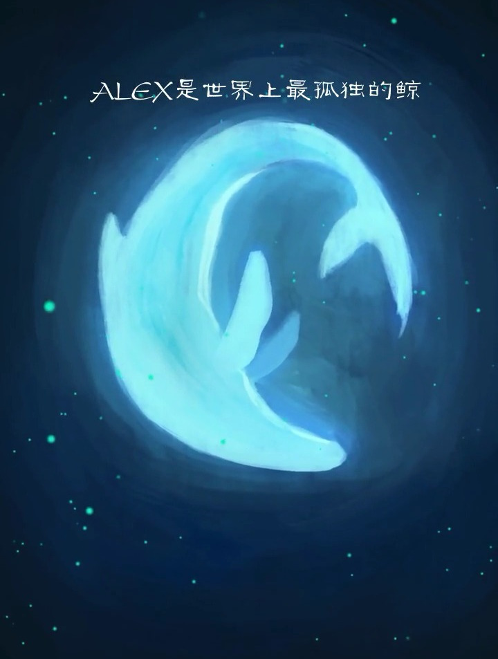 我们都是52赫兹的鲸,渴望被人懂,却从未得到过真正的理解