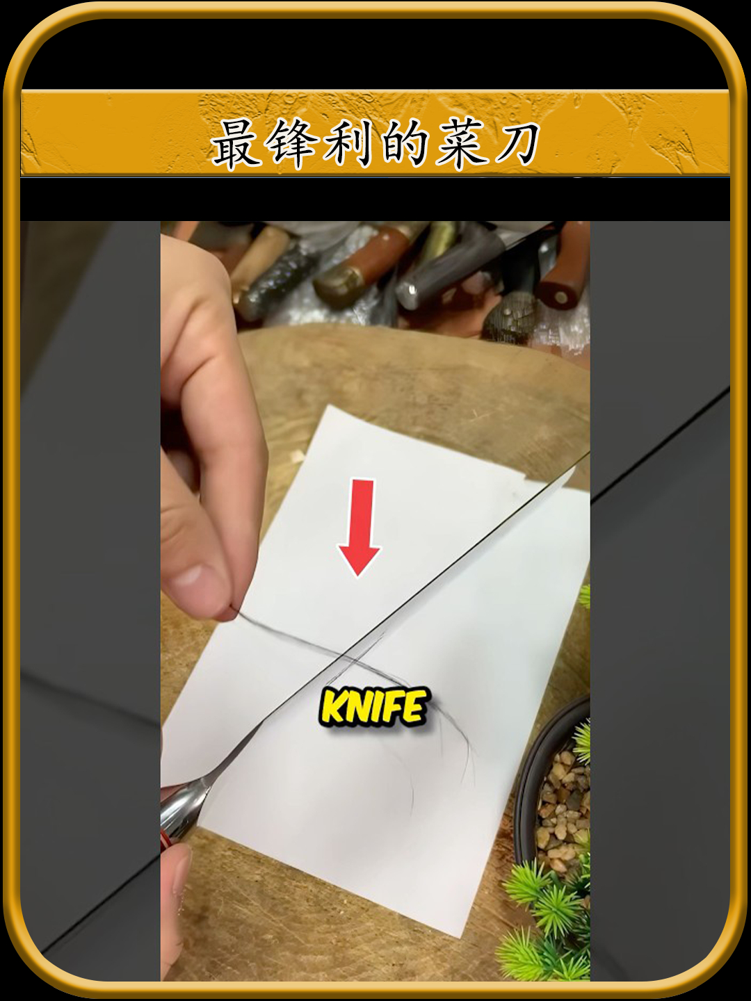 最锋利的菜刀居然是中国制造