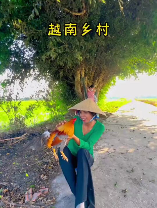 越南的五彩大公鸡!