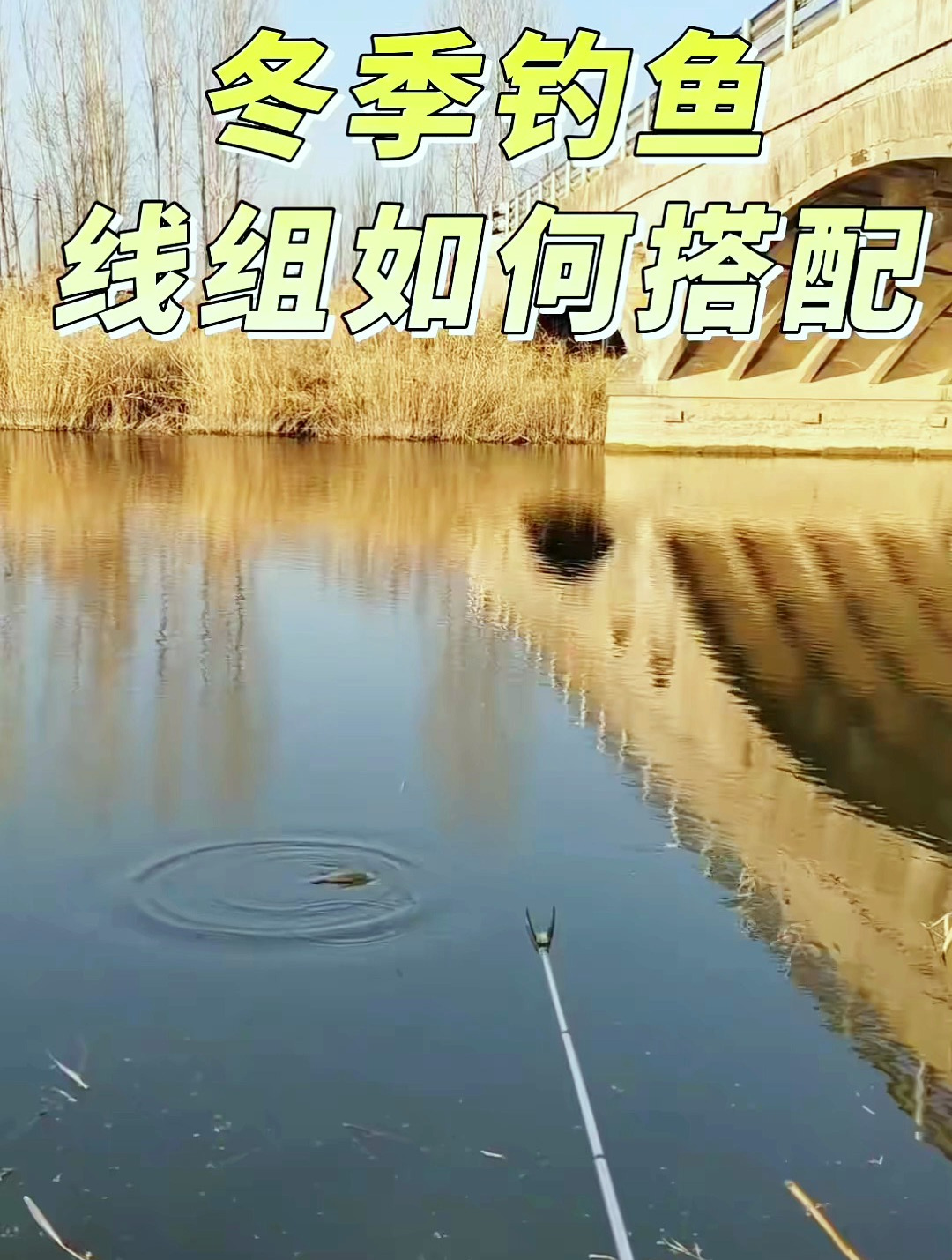 冬季钓鱼线组如何搭配?
