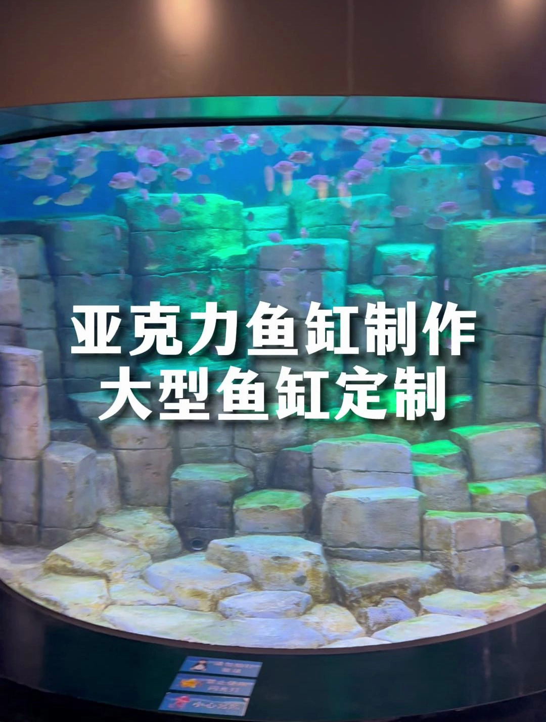 大型亚克力鱼缸制作,上海鱼缸厂家