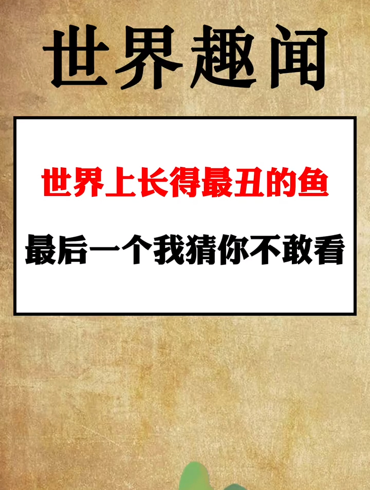 世界上长得最丑的鱼