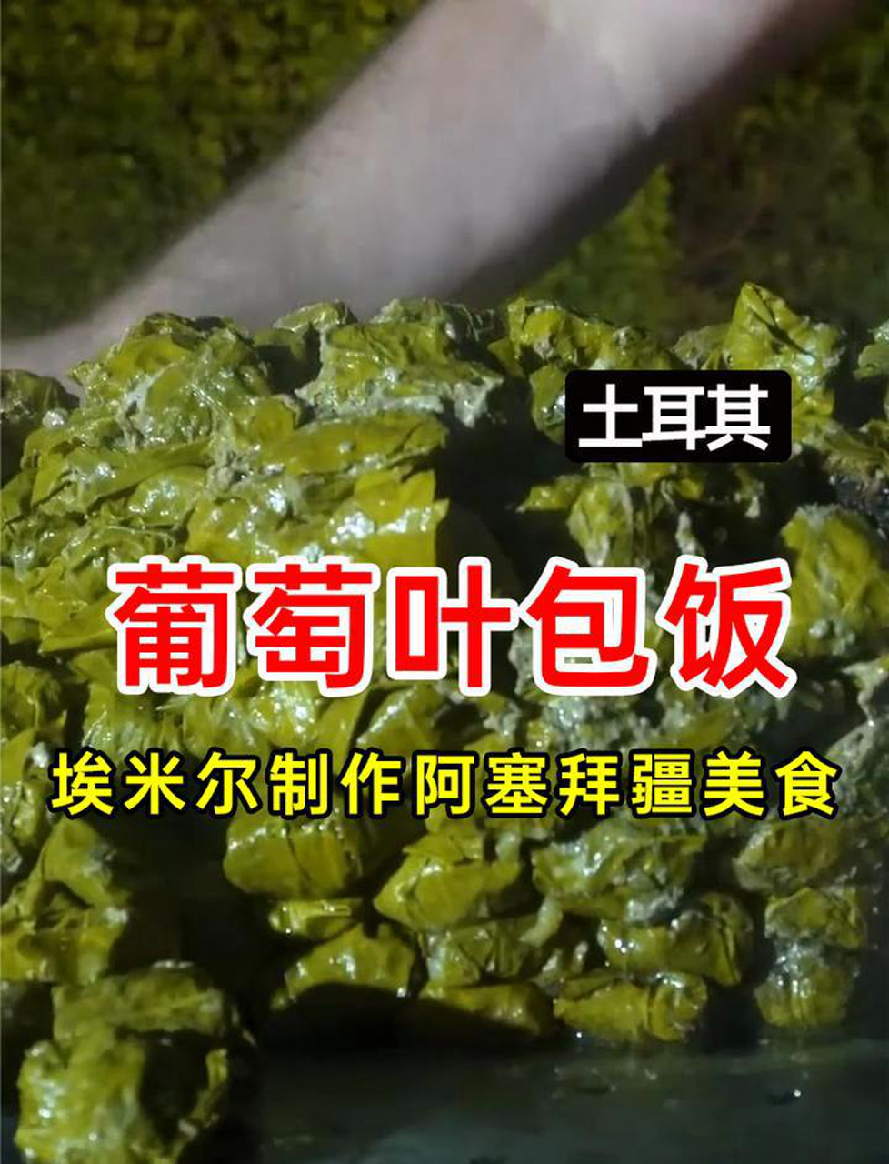 别小瞧这绿绿的美味,阿塞拜疆的招牌菜,葡萄叶裹饭!