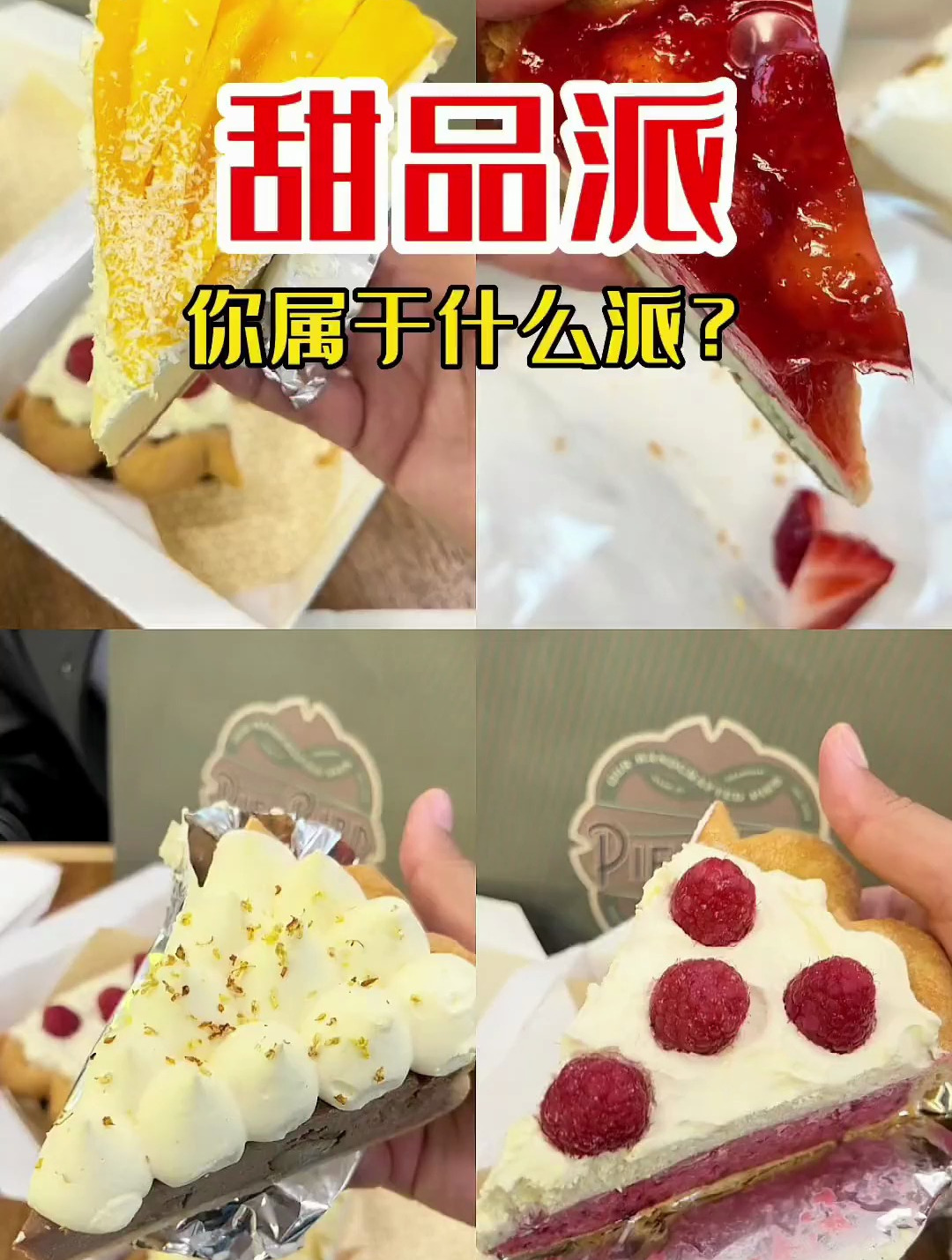 这么多派里面,你属于哪个派?