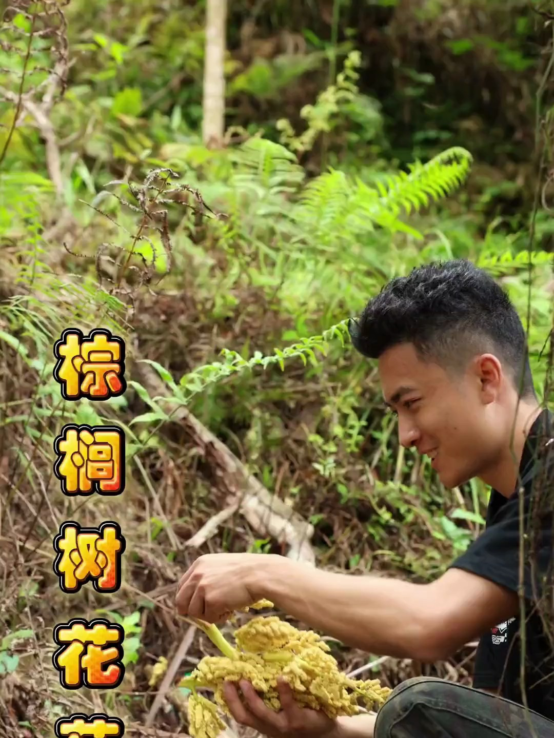 北方人没见过广东人春天抢着摘的树上野菜和腊肉炒香疯了 棕榈树