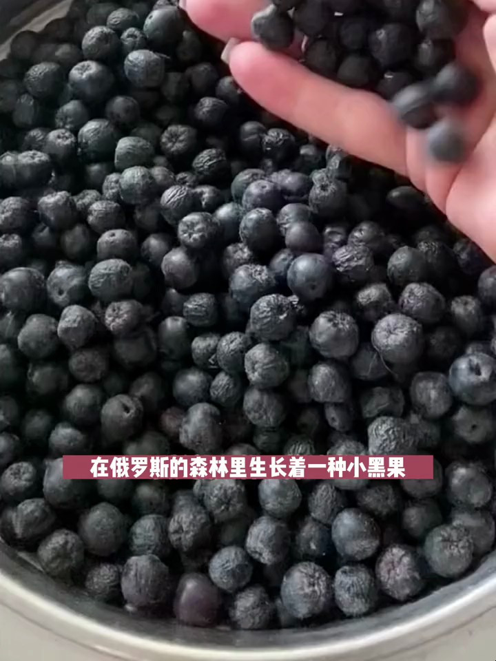 俄罗斯小黑果也叫天鹅绒果,不敢吃糖的朋友可以每天干嚼5-6粒