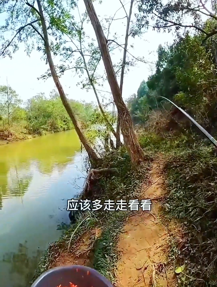 冬季野河如何选择钓位?考虑这个因素,你也能找到鱼窝