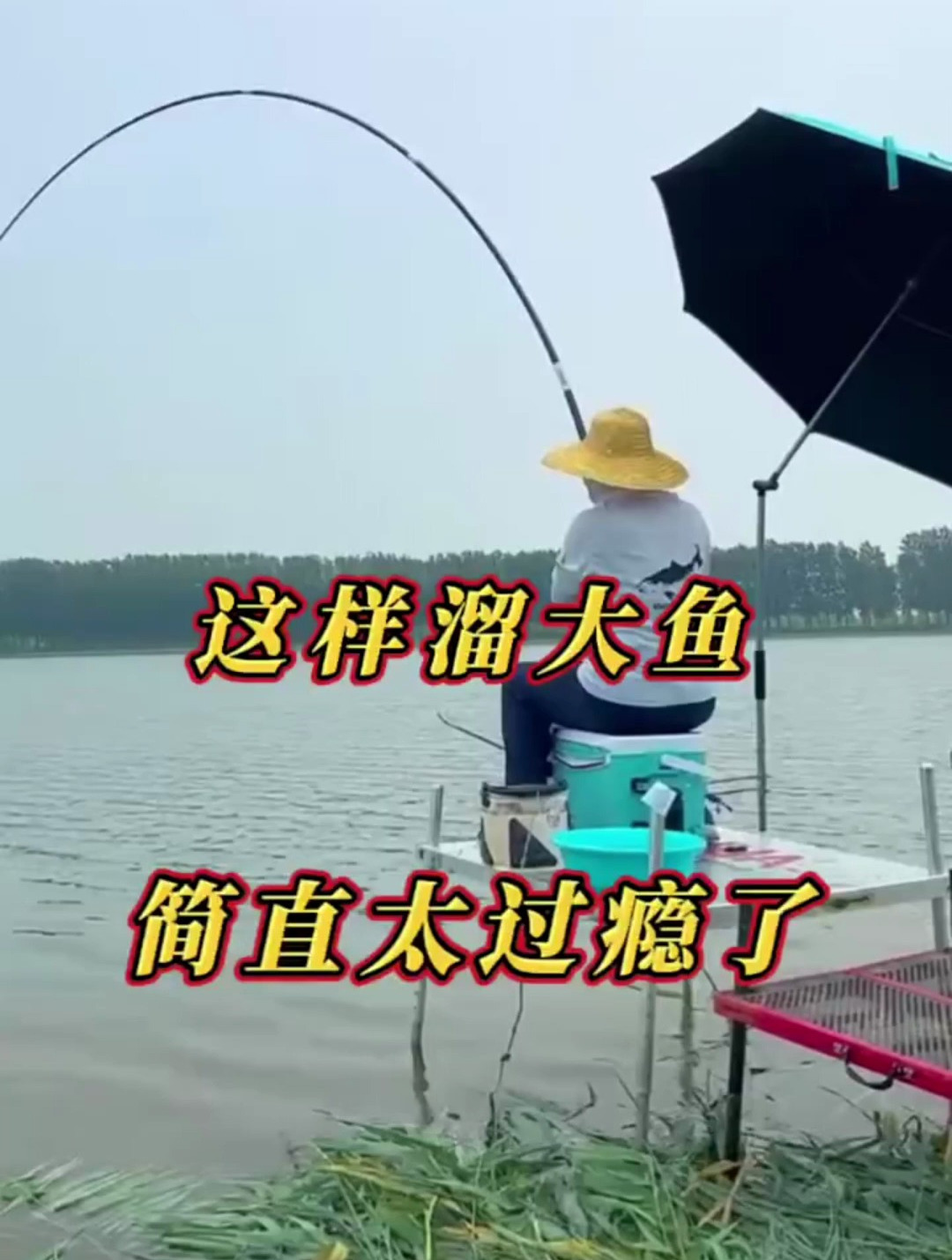 冬季野钓大草鱼,教你这样“搭配”线组,钓到天黑都不想回家!