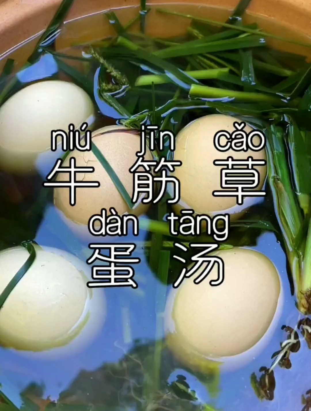 牛筋草蛋汤 千斤拔