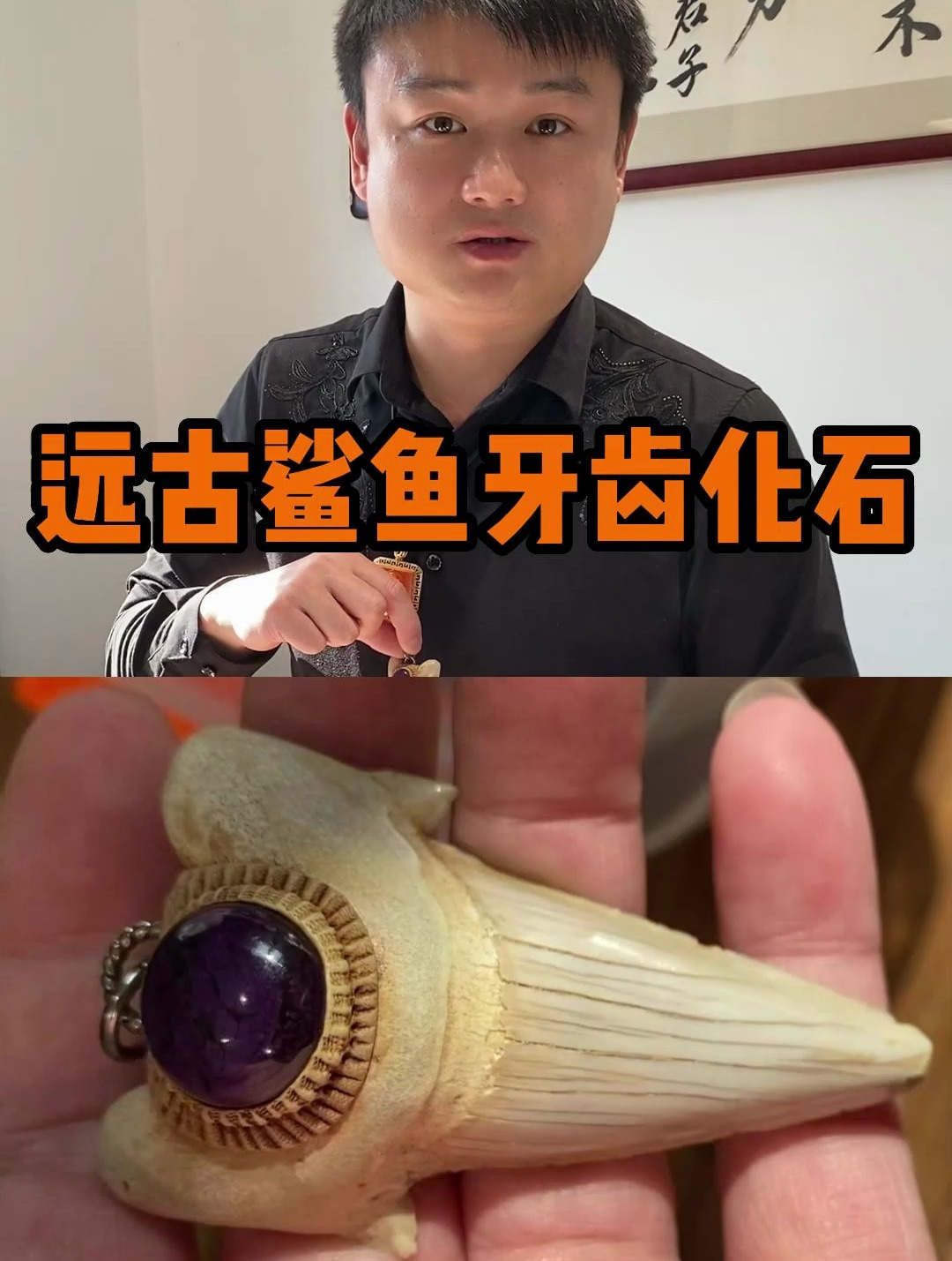 远古鲨鱼牙齿化石