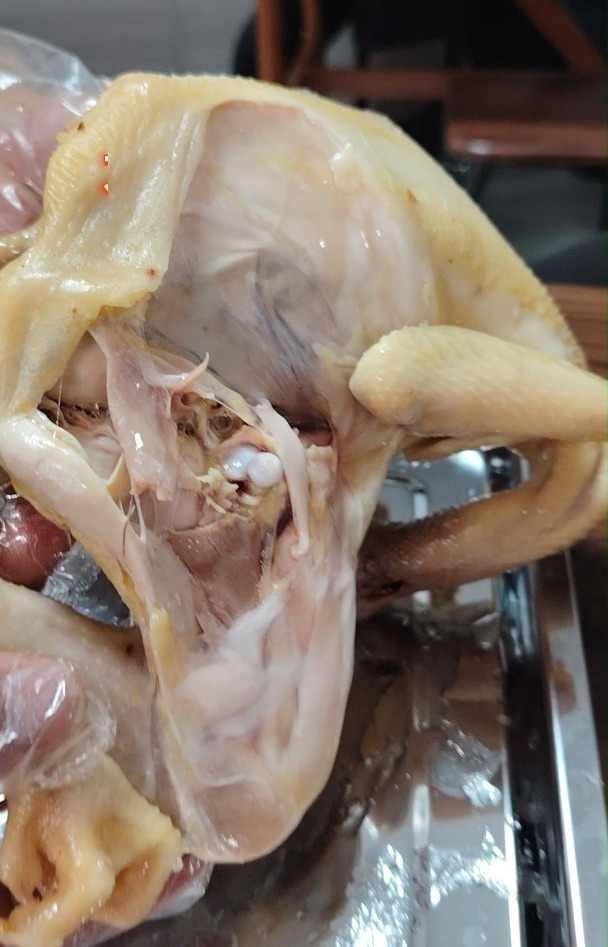 用手掰着吃,才吃出南宁岭头凰竹盐鸡的原汁原味