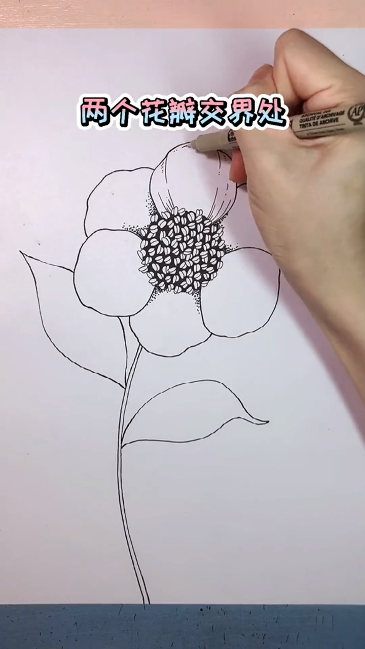 零基础绘画详细教程,小白学起来