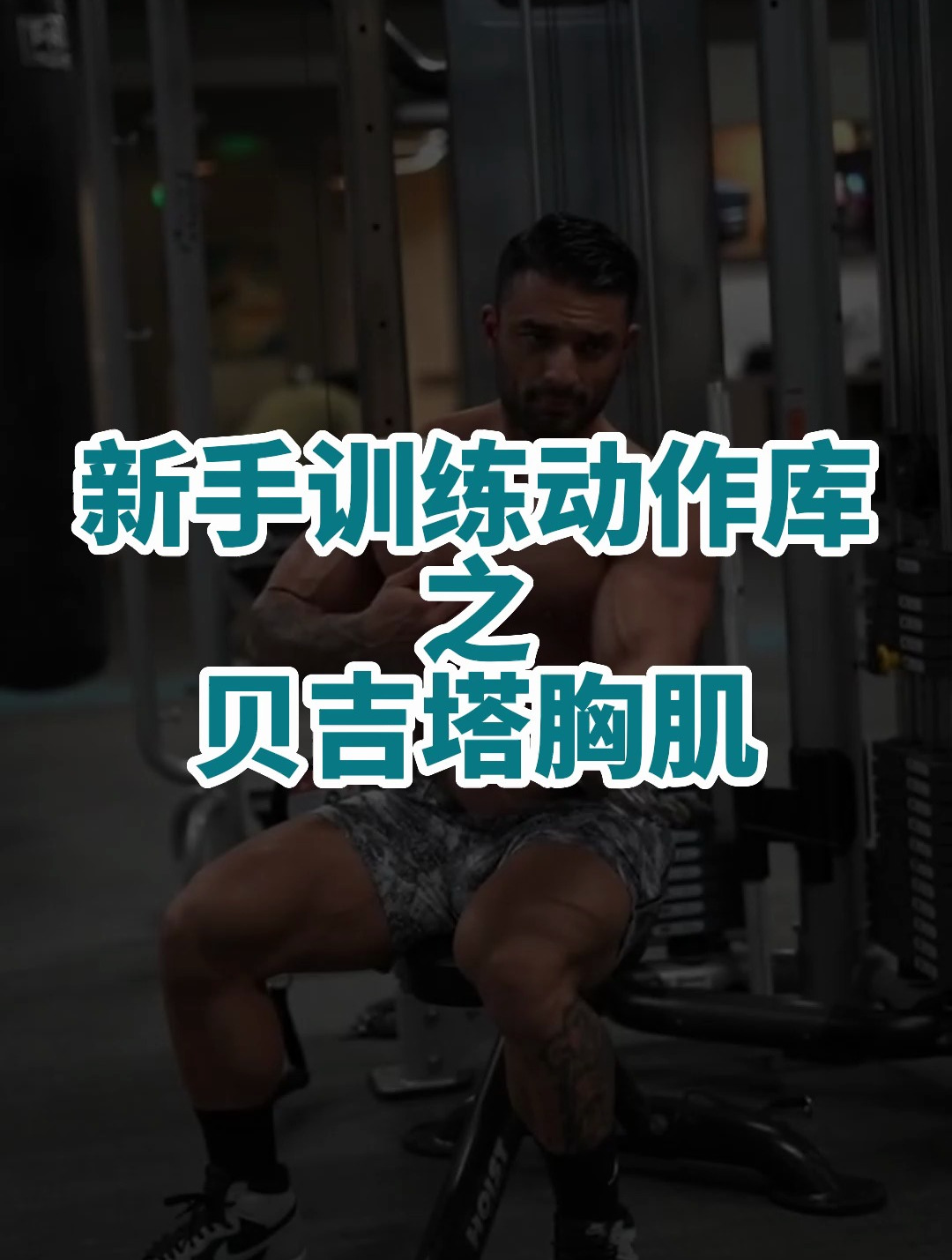 新手训练动作库,贝吉塔胸肌训练,适合新手找泵感