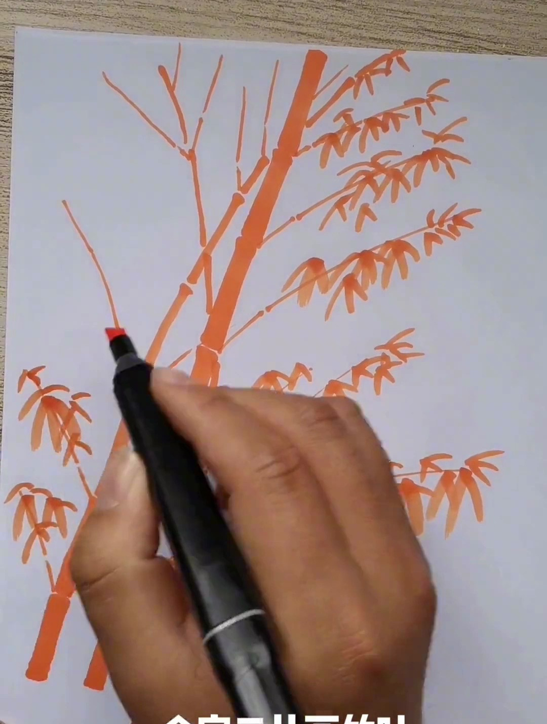 画竹子的简单画法 画竹子的口诀