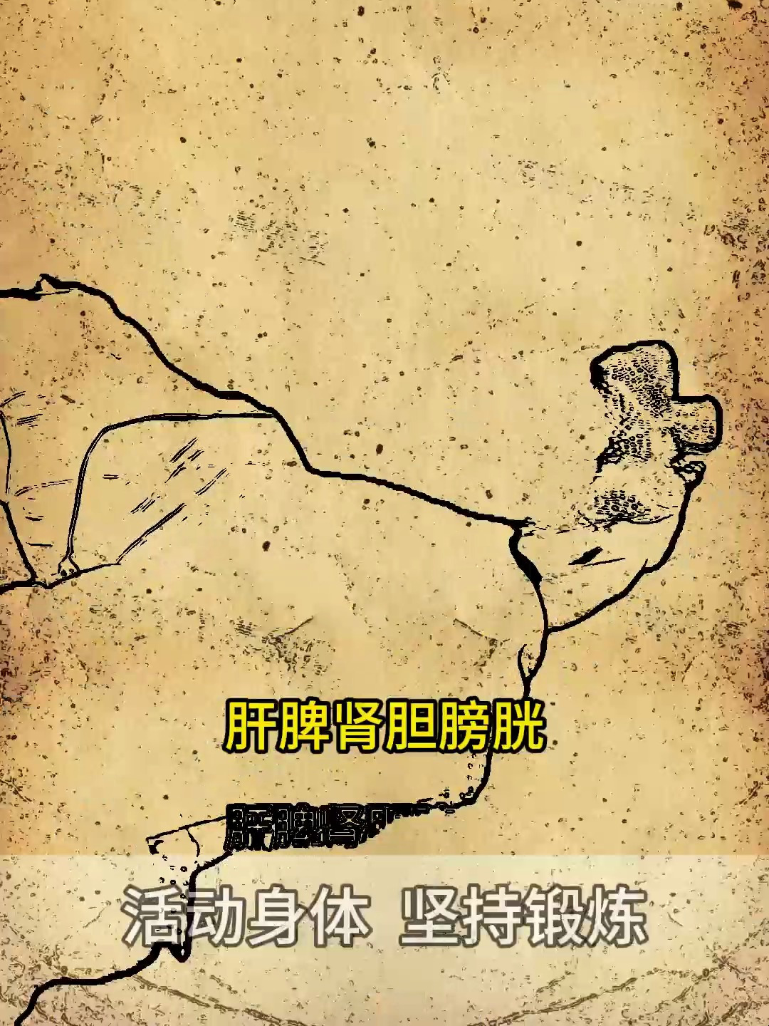 树脂五爪按摩梳,全身通用,哪不舒服就按哪里
