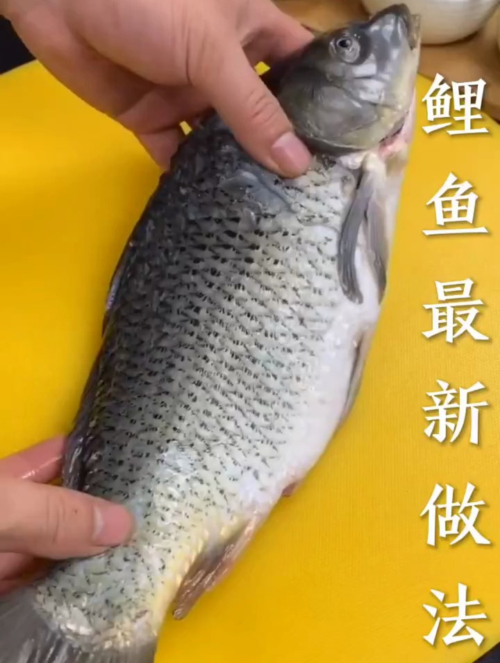 你们知道,鲤鱼还可以怎么做吗