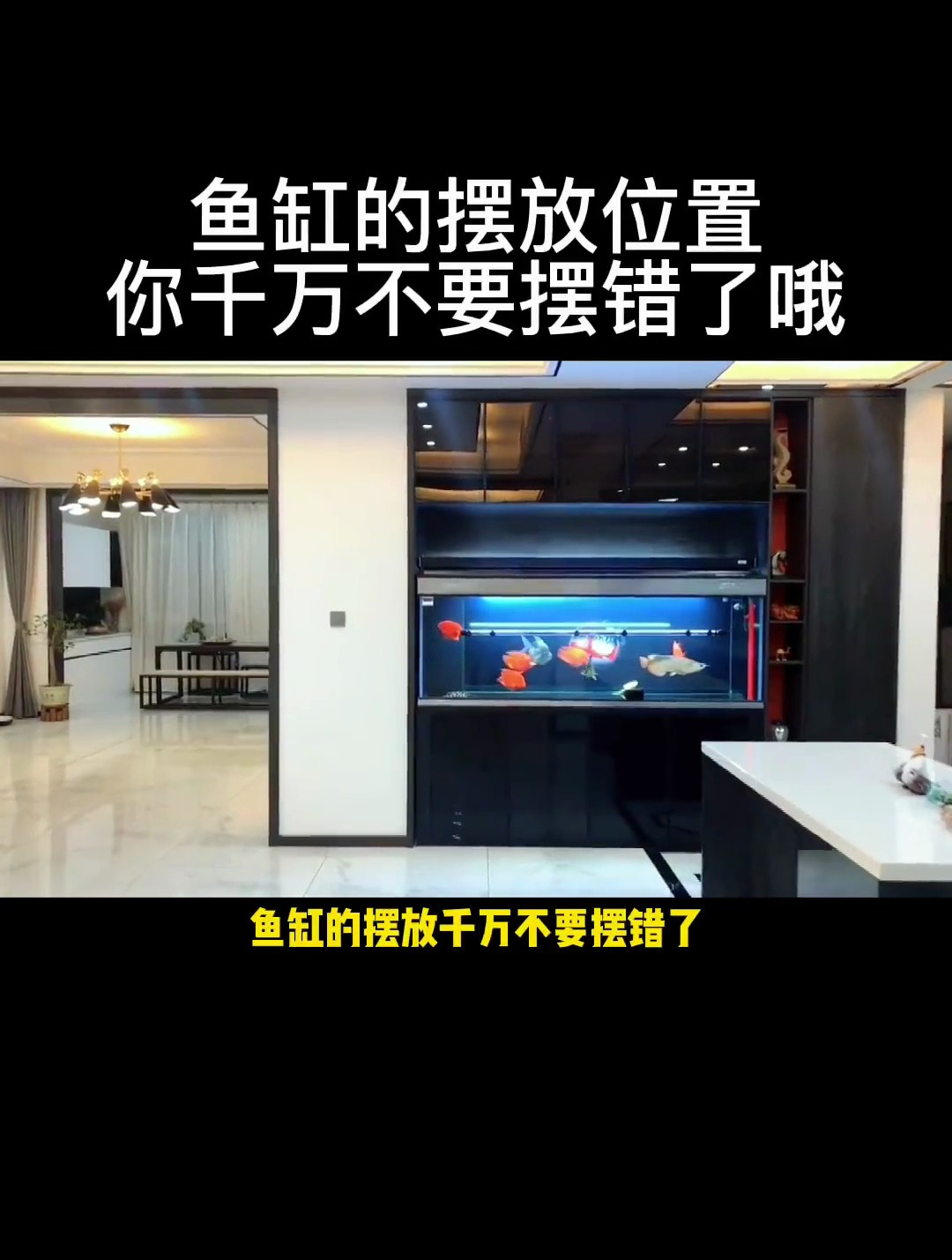 鱼缸位置摆放有讲究,你摆对了吗?