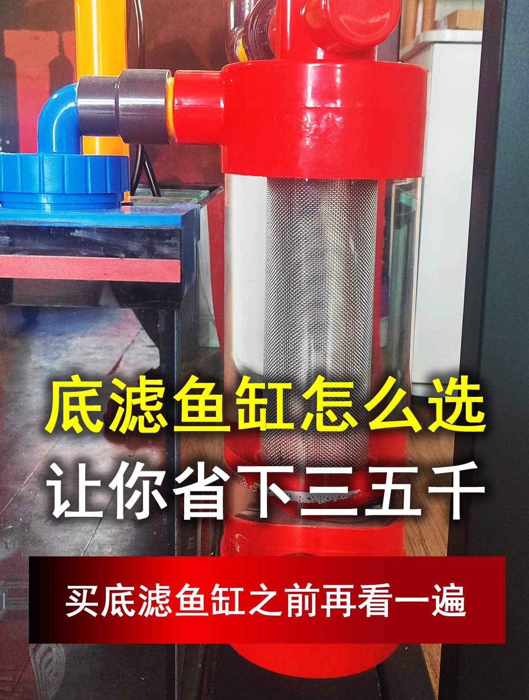 底滤鱼缸怎么选,让你省下三五千,如何选底滤鱼缸