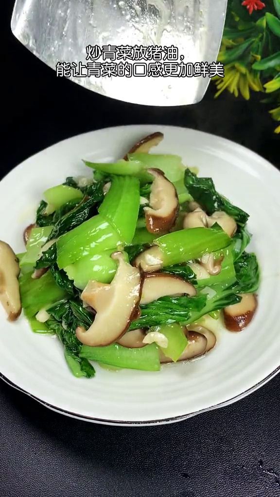 香菇青菜你喜欢吃吗