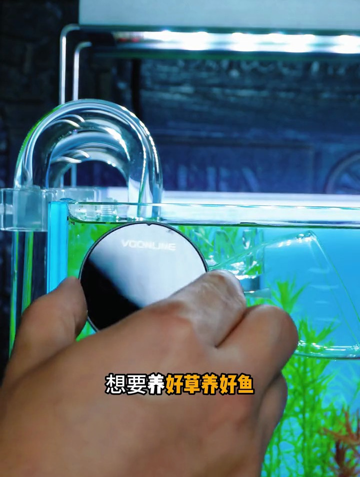 沃韦朗数显温度计,帮你时刻了解你鱼缸的温度变化,一起来看看