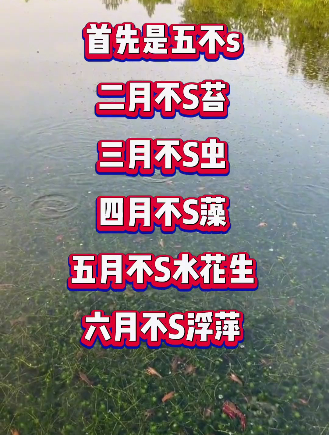 水产养殖技术:小龙虾养殖的精髓,快来听听