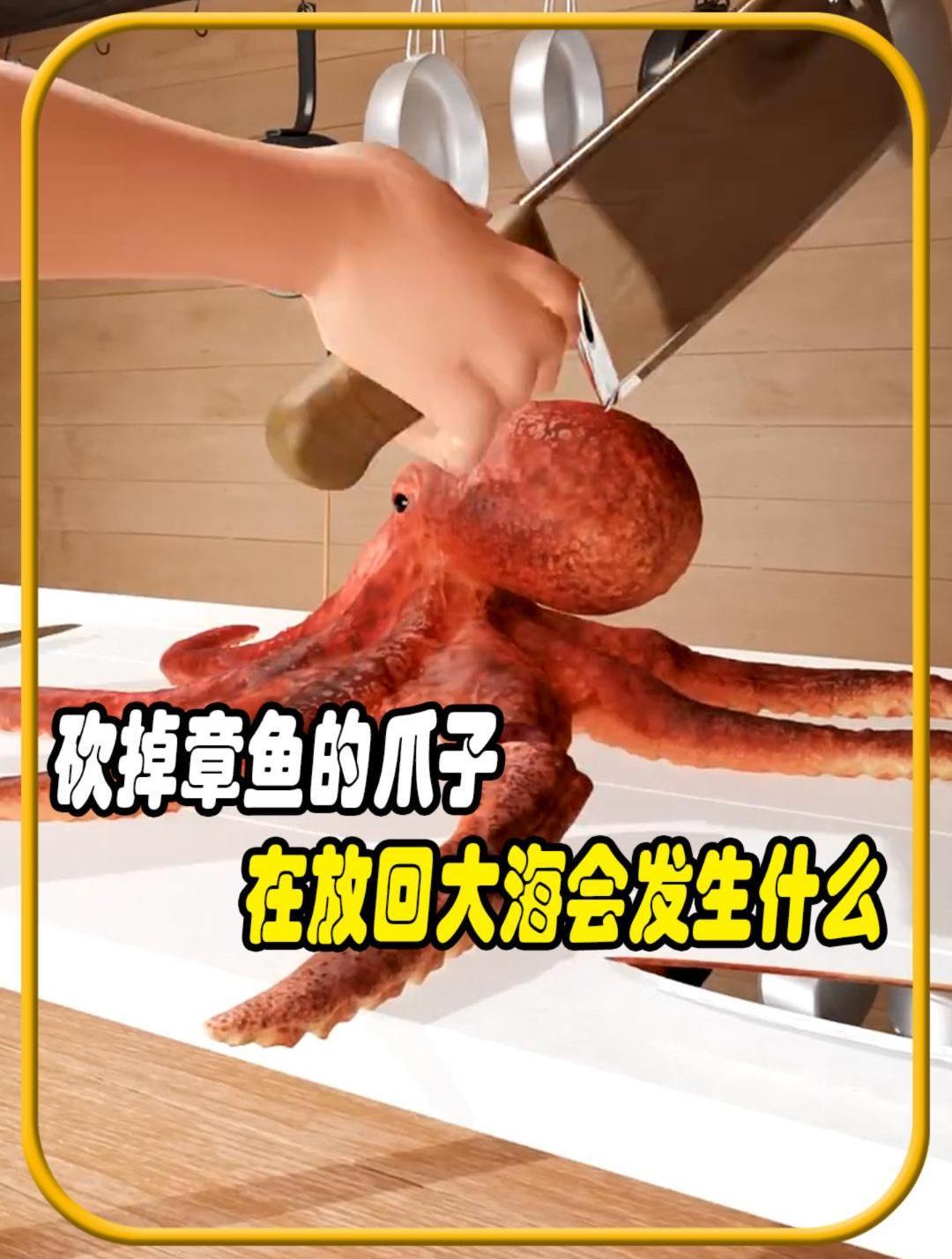 砍掉章鱼的爪子再放回大海它还能活下来吗?值得一看