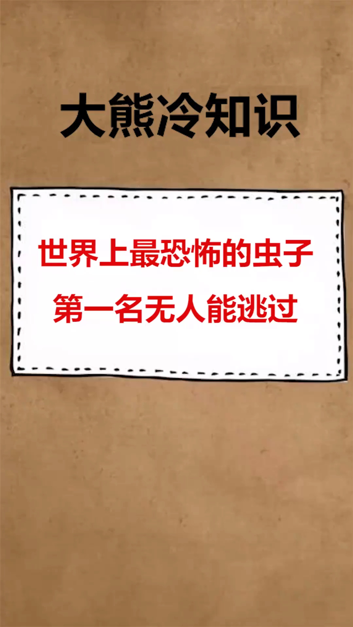 每天一点冷知识世界上最恐怖的虫子,第一名无人能逃过