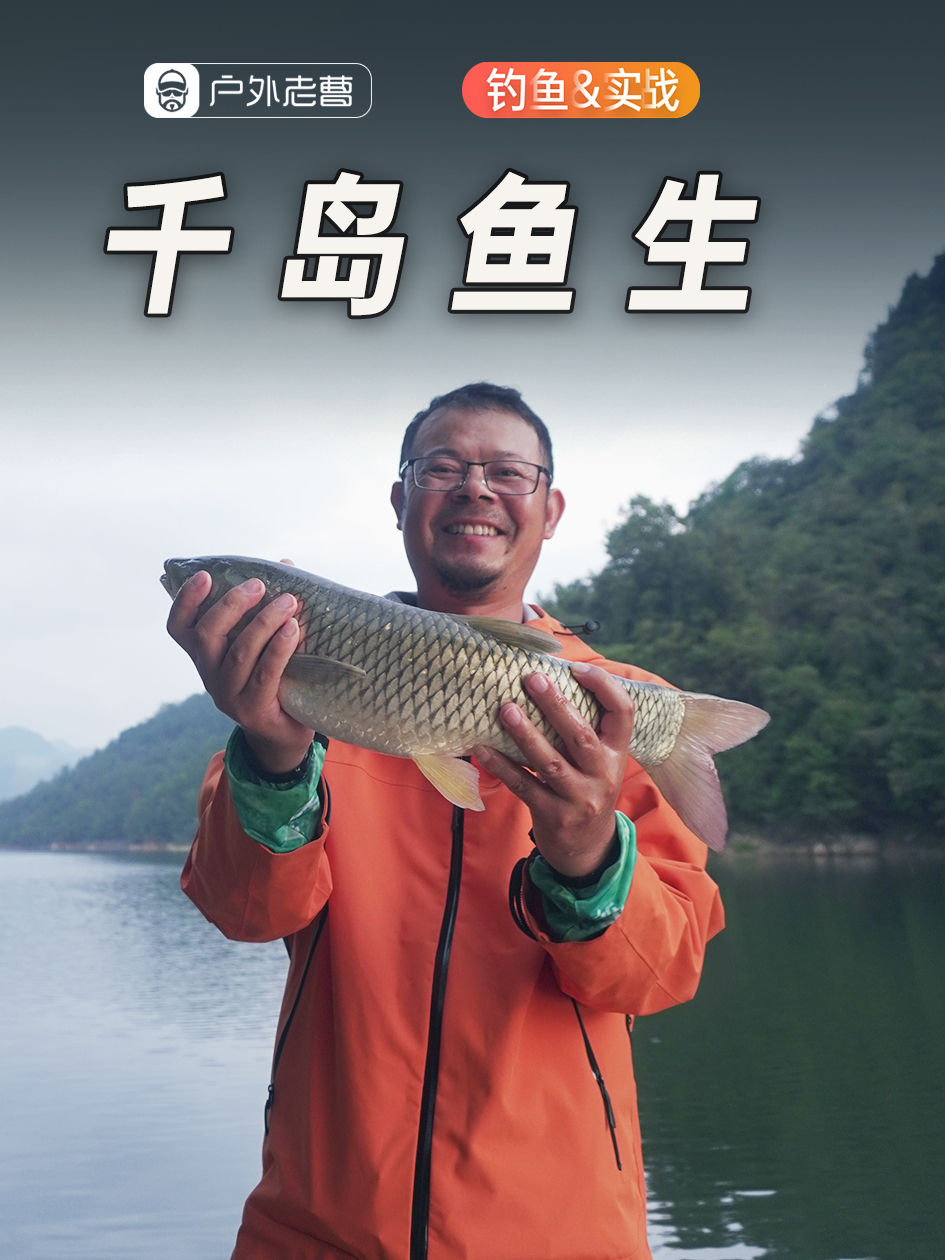 老曹千岛湖钓草鱼,说要三竿上鱼,船长完全不信,结果……