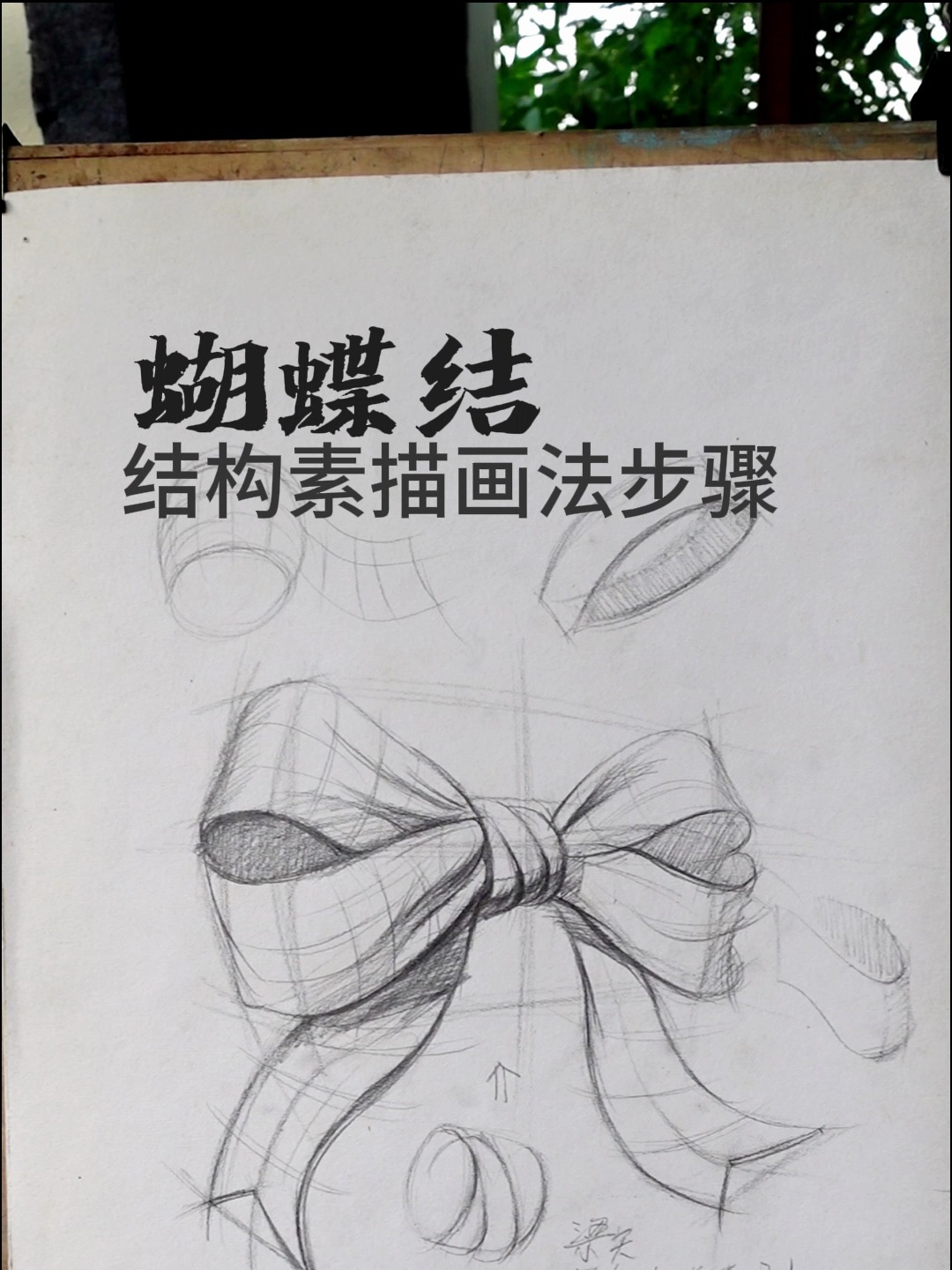 蝴蝶结素描结构画法步骤