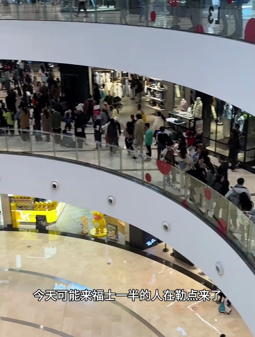 黑松露面包 麦德莲 网红面包