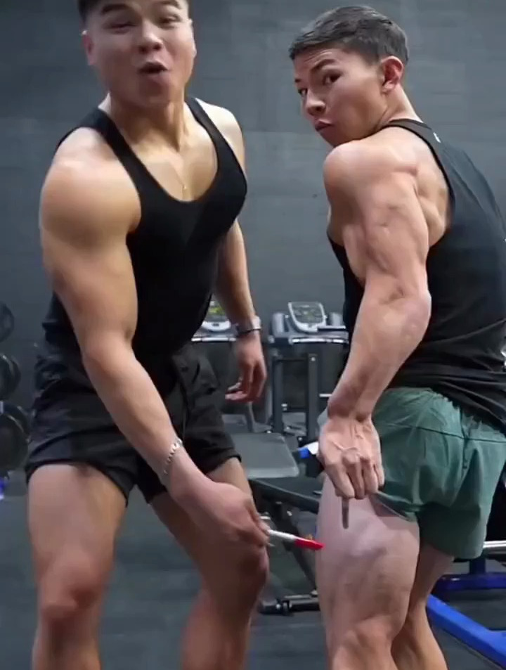 肌肉力量训练图谱,针对各个部位