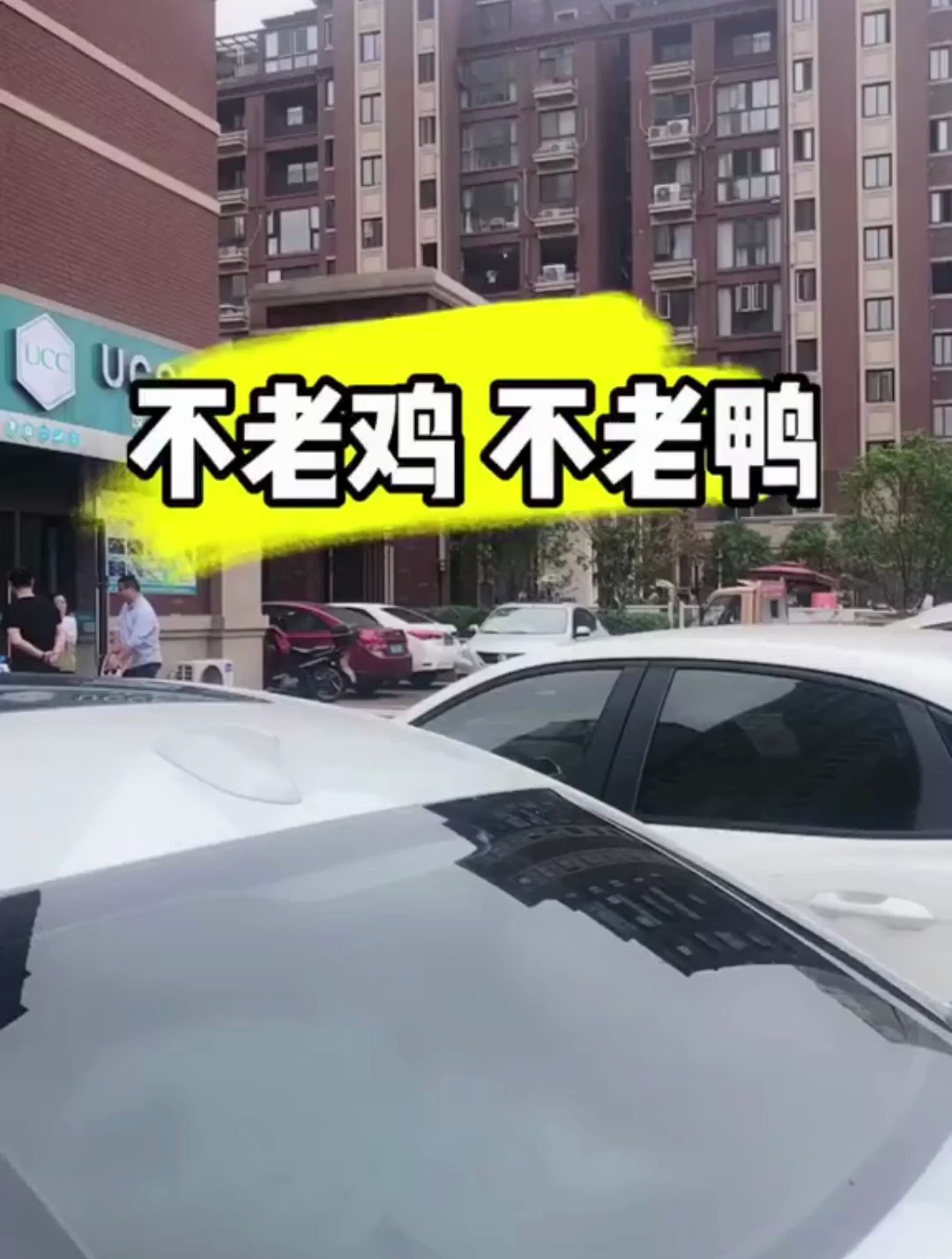 金大地这块的这家祖传不老鸡不老鸭了解一下