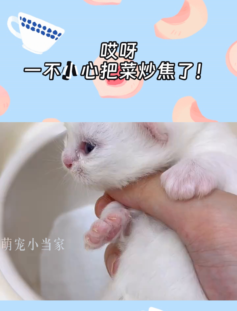 哎呀,一不小心把菜炒焦了!
