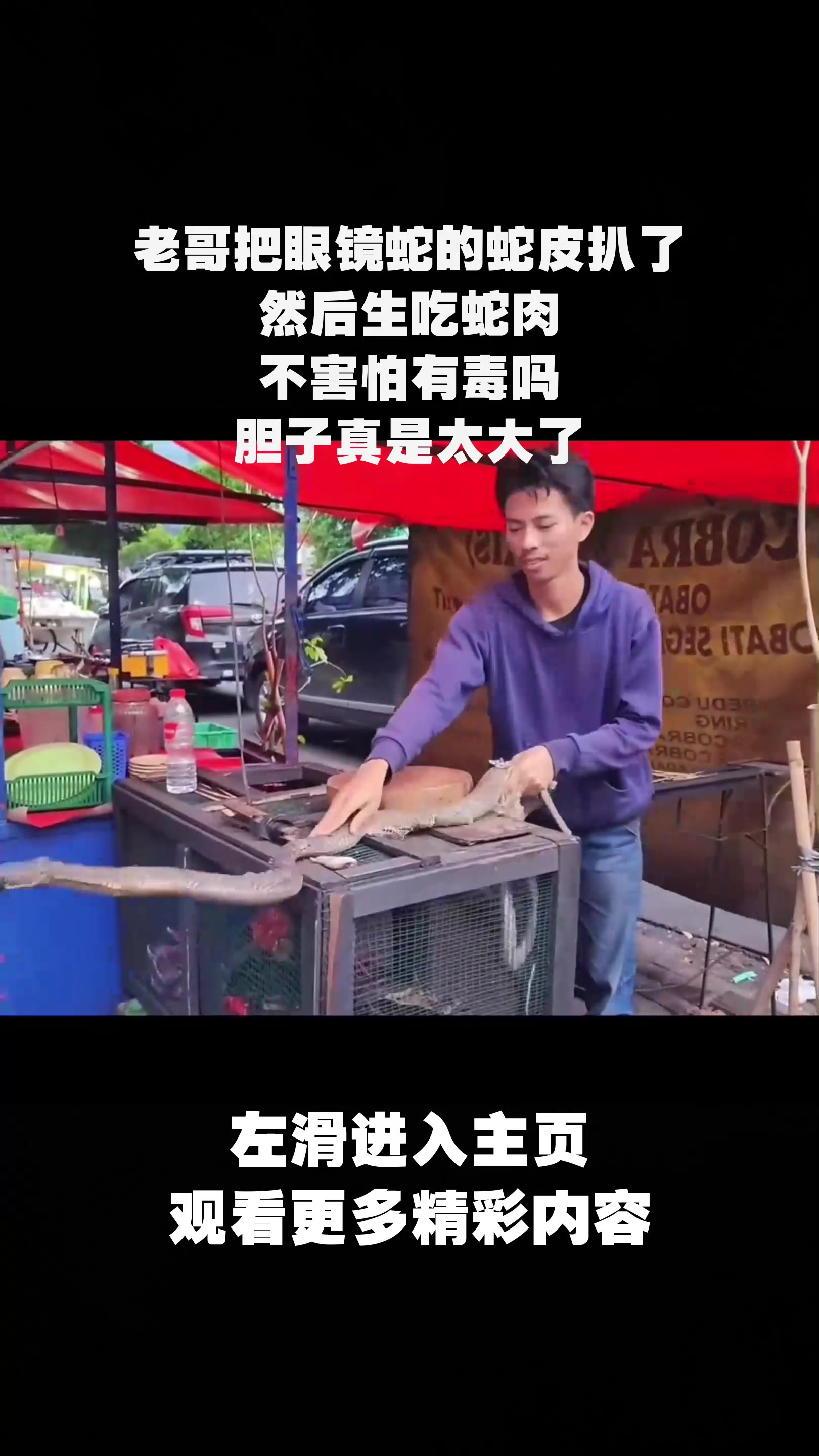 老哥把眼镜蛇的蛇皮扒了,然后生吃蛇肉,不害怕有毒吗?胆子真是太大了