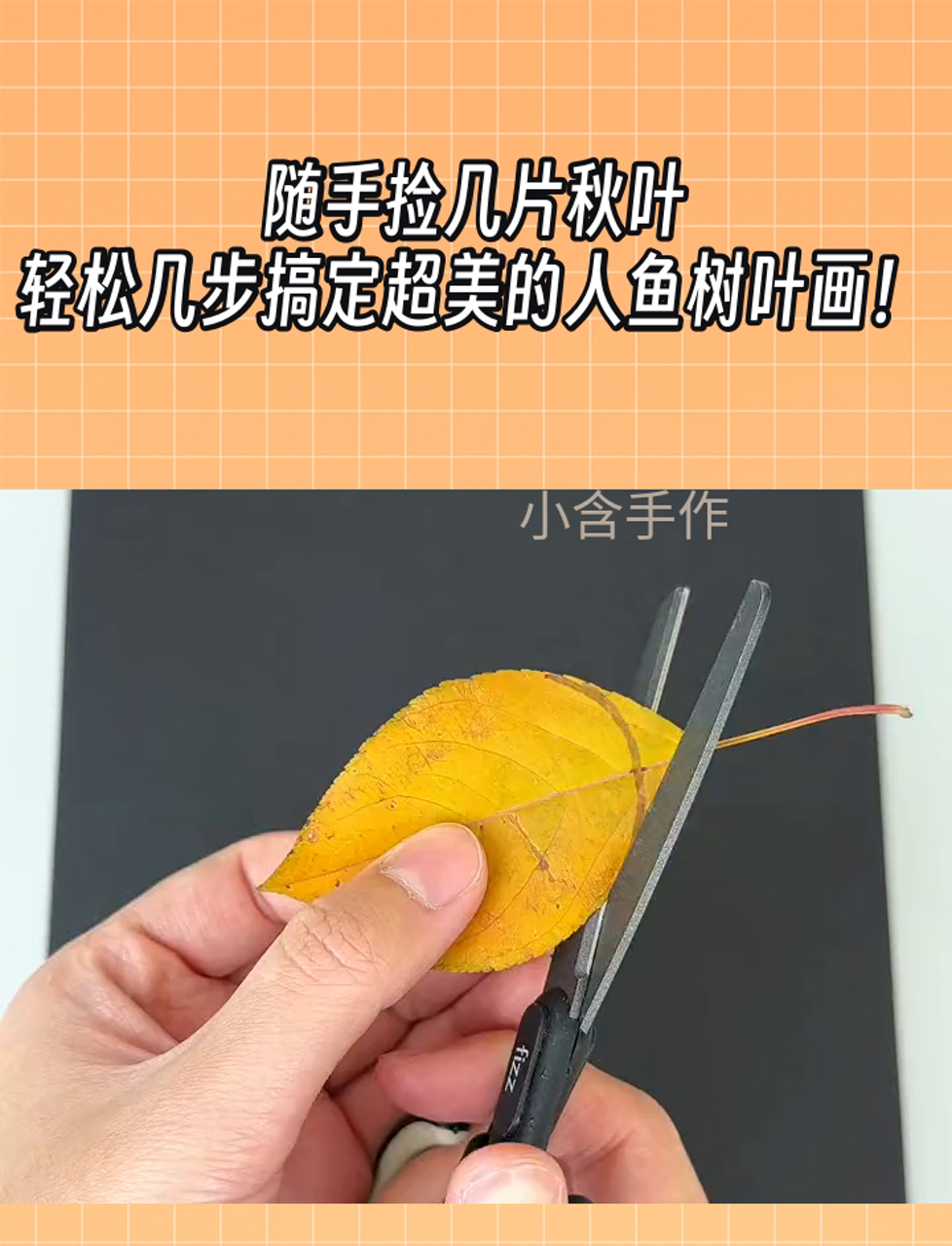 随手捡几片秋叶,轻松几步搞定超美的人鱼树叶画!