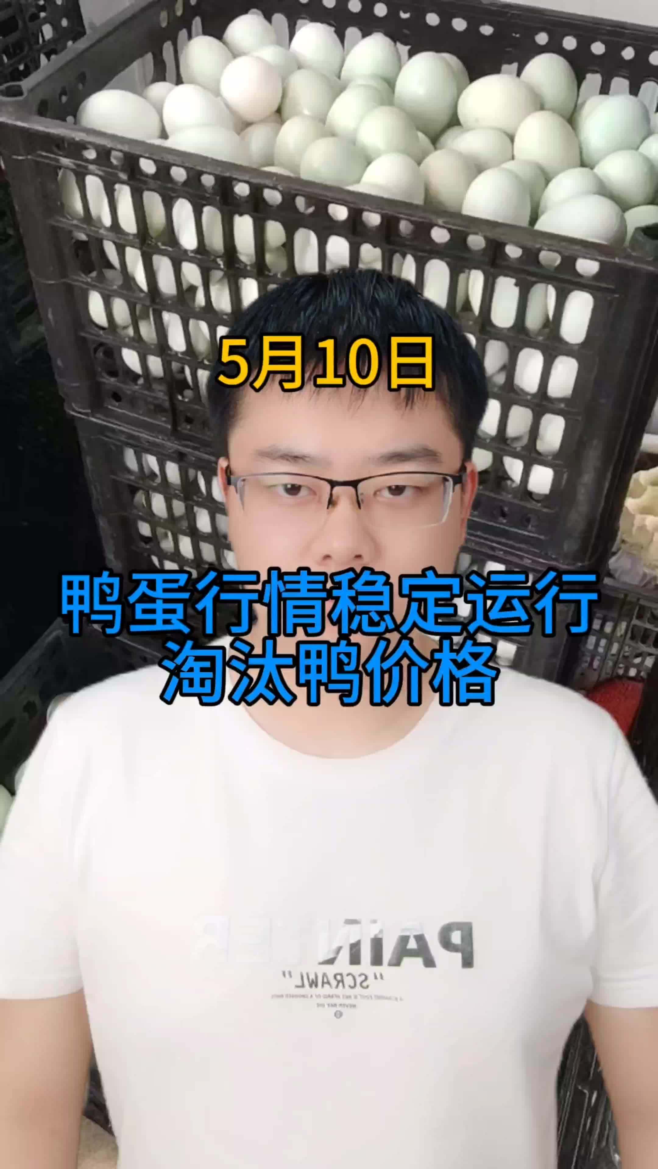 鸭蛋价格今日价格  鸭蛋价格最新行情 