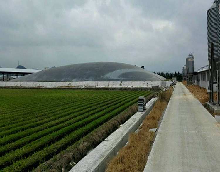 鱼塘防水膜 鱼塘防渗膜