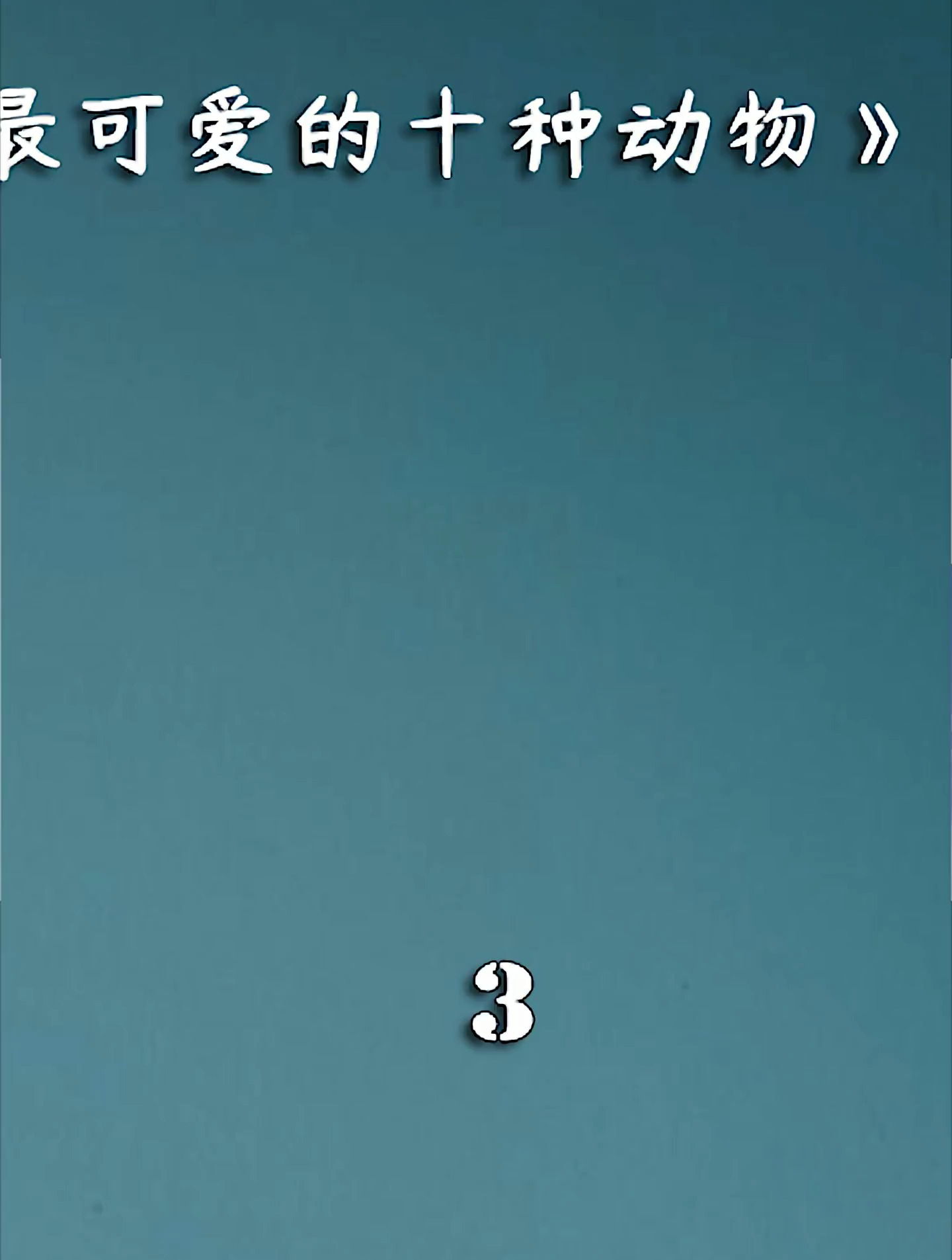 世界上可爱的动物排行榜,考拉只能排末尾,个人观点不喜勿喷