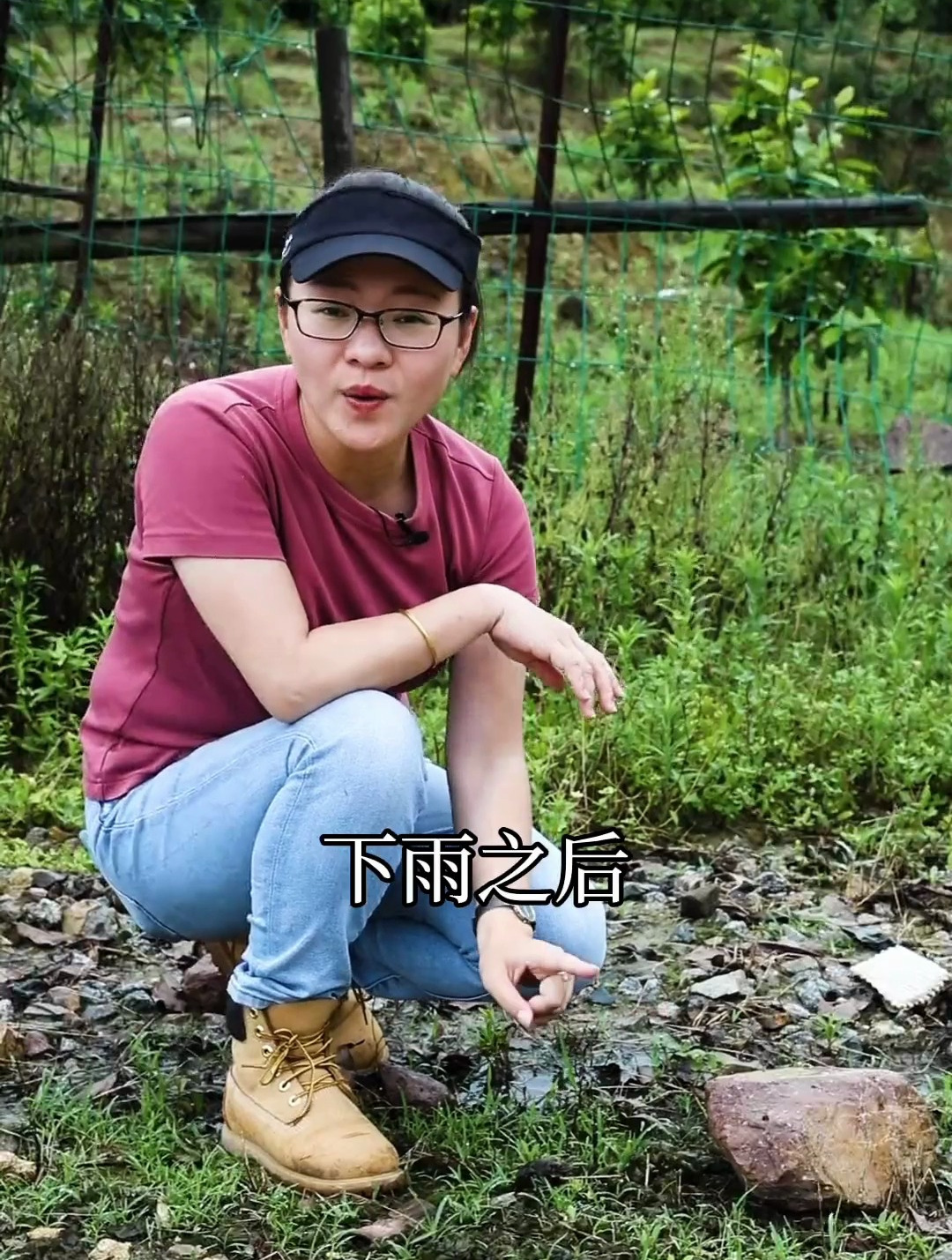一日一植物 被誉为 野菜之王 雨后才能找到的雷公菜 普通念珠藻
