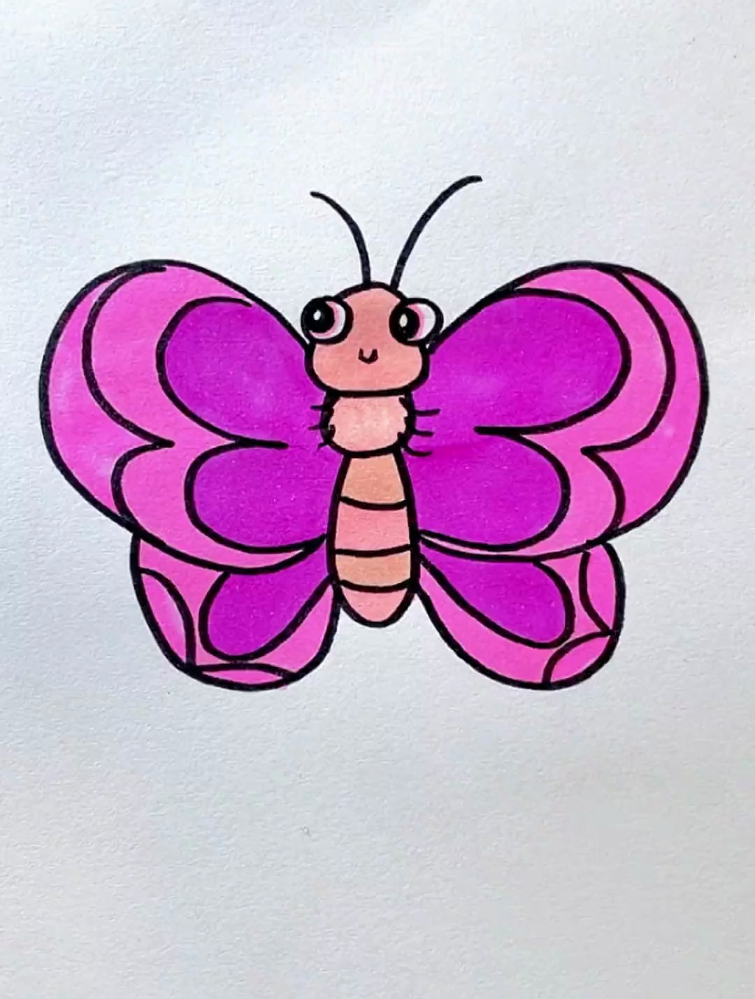 可爱的花蝴蝶 育儿简笔画 一起学画画